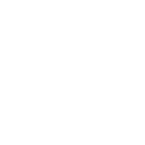 Meat image