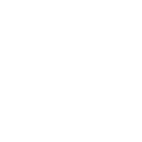 Meat image
