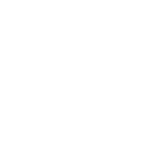 Meat image